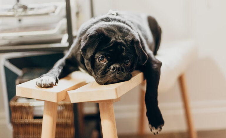 Why a Stress-Free Life Can Leave You Feeling Empty