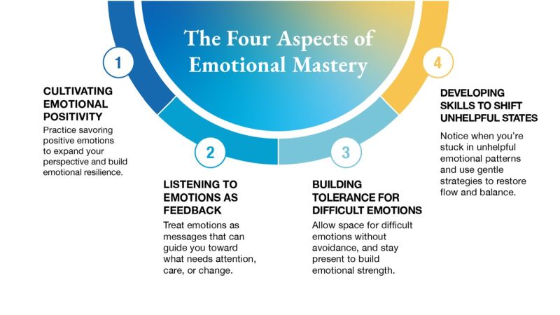 infographic introducing the four core aspects of emotional mastery