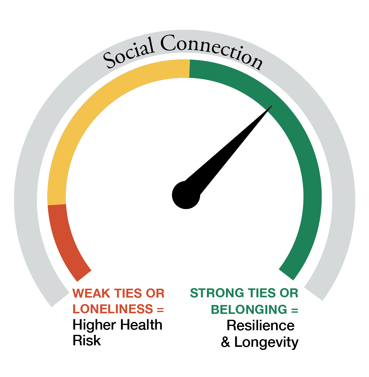infographic showing how important social connections are