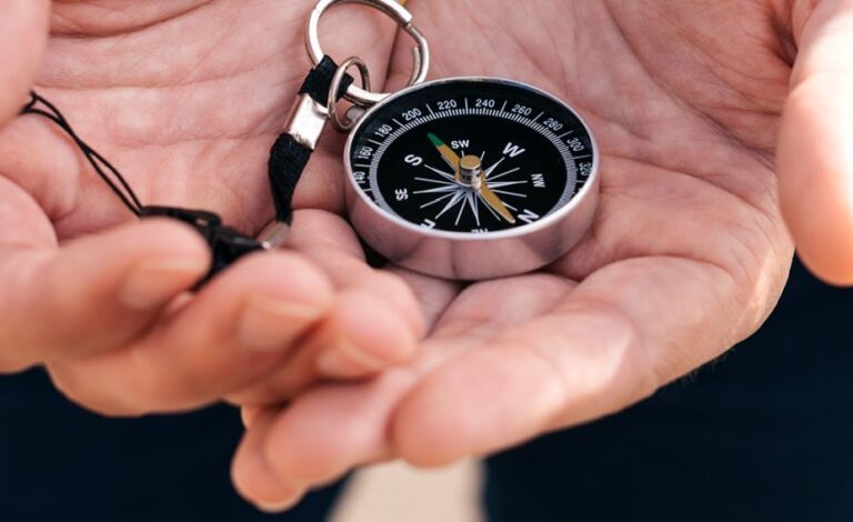 The Echo of Purpose: My Tuning Fork Moments and Dr. Bernard Lown’s Reflections